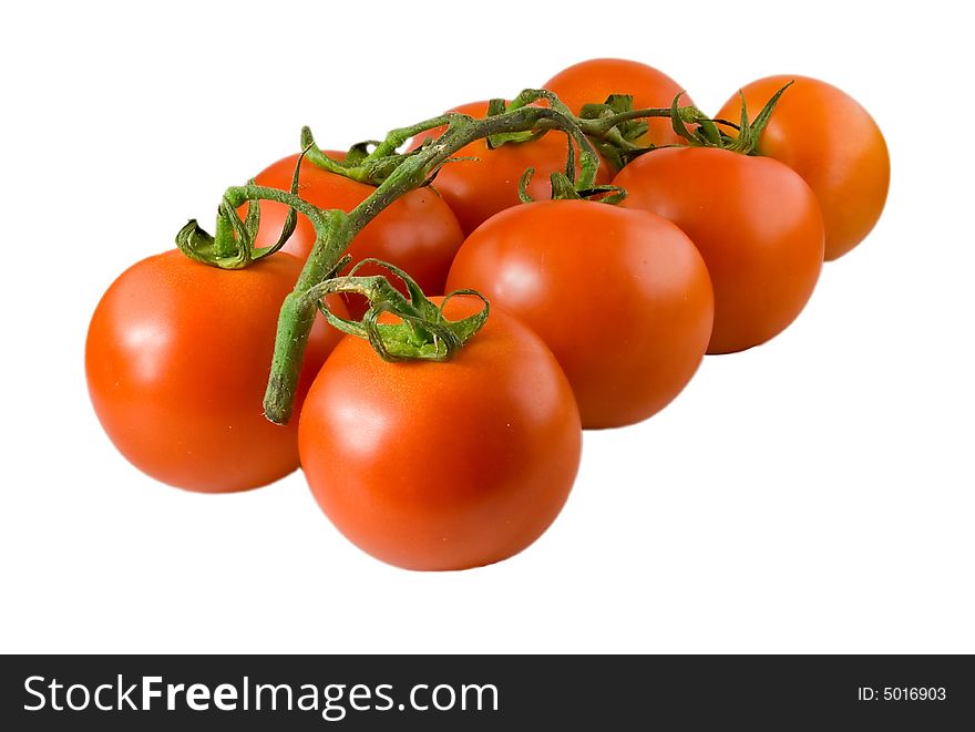 Isolated branch with red tasty tomatoes. Isolated branch with red tasty tomatoes