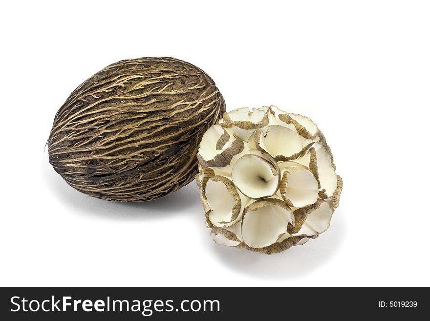 Coconut in white isolated background