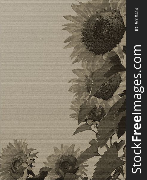 Artistic sunflowers on a grey textured background.