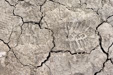 Close Up Of Cracked Dried Soil With Footprint Royalty Free Stock Photography