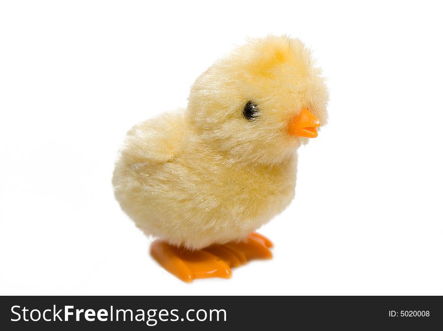 Yellow chicken on the white isolated background