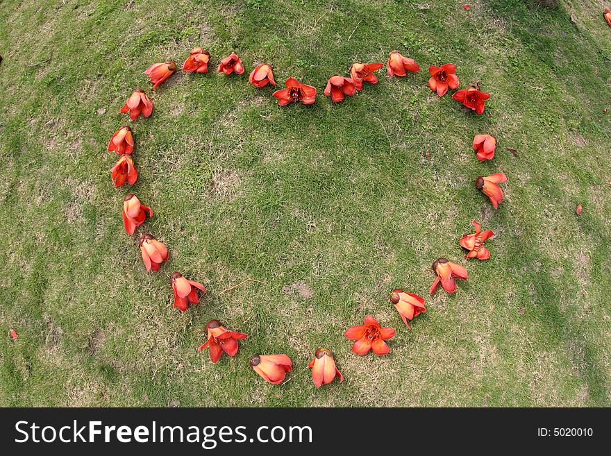 Red Ceiba Kapok Flower Heart