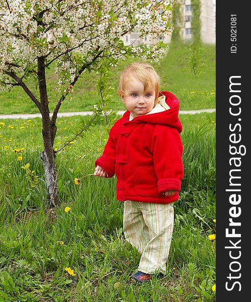 Small girl goes for a walk on the grass in spring