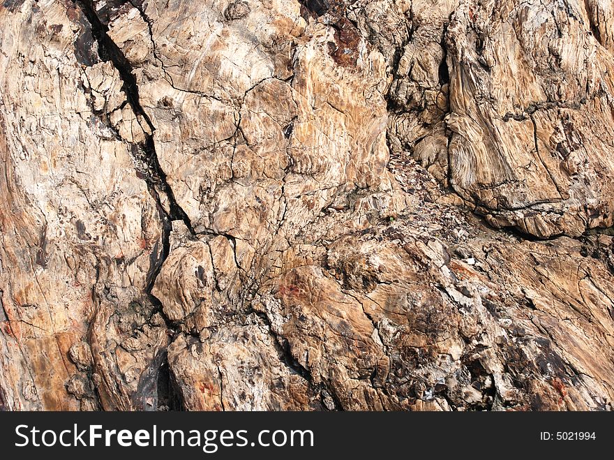 The petrified wood,wood fossil produced in the desert of Xingjiang,China. The petrified wood,wood fossil produced in the desert of Xingjiang,China.