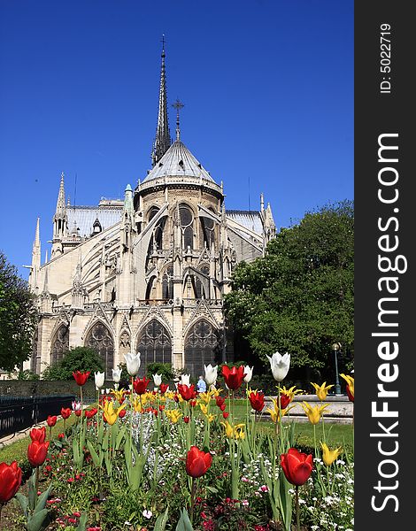 Notre Dame in paris with flowers