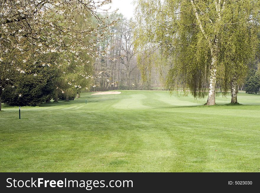 Nice golfing day at spring time early in the morning