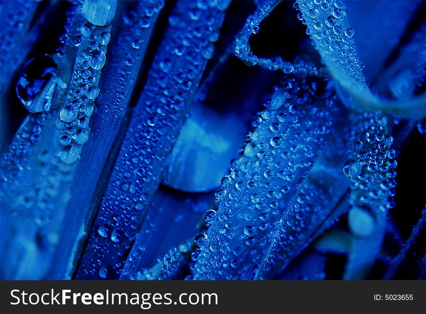 Close up of drops over blue background. Close up of drops over blue background