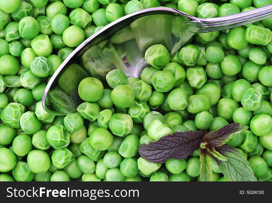 Freshly picked green peas with sprig of mint and silver serving spoon. Freshly picked green peas with sprig of mint and silver serving spoon