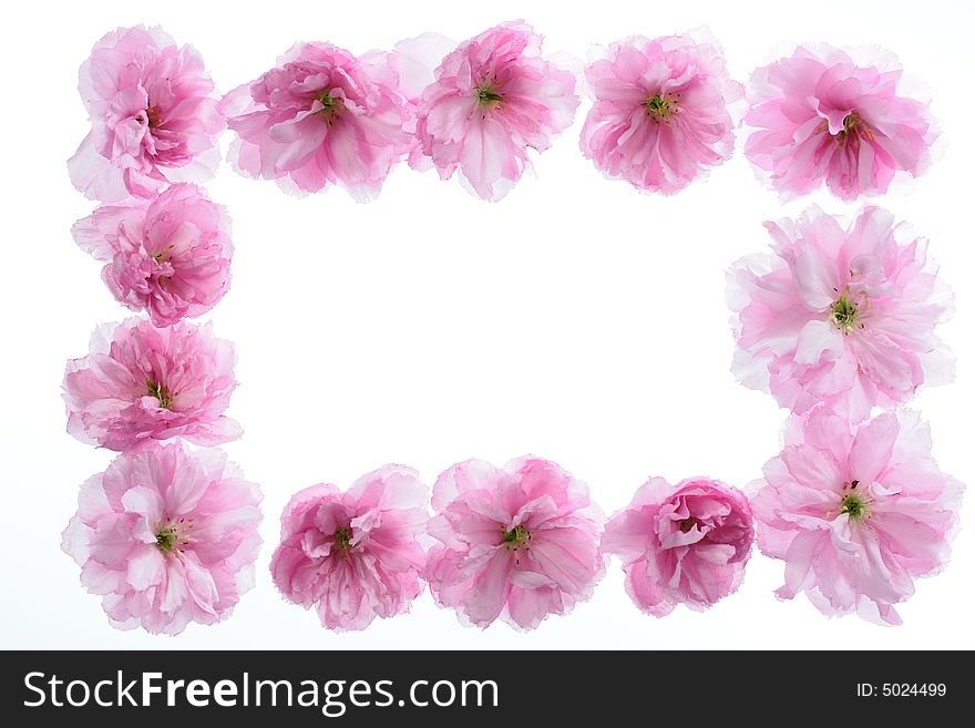 Floral frame with space for your text