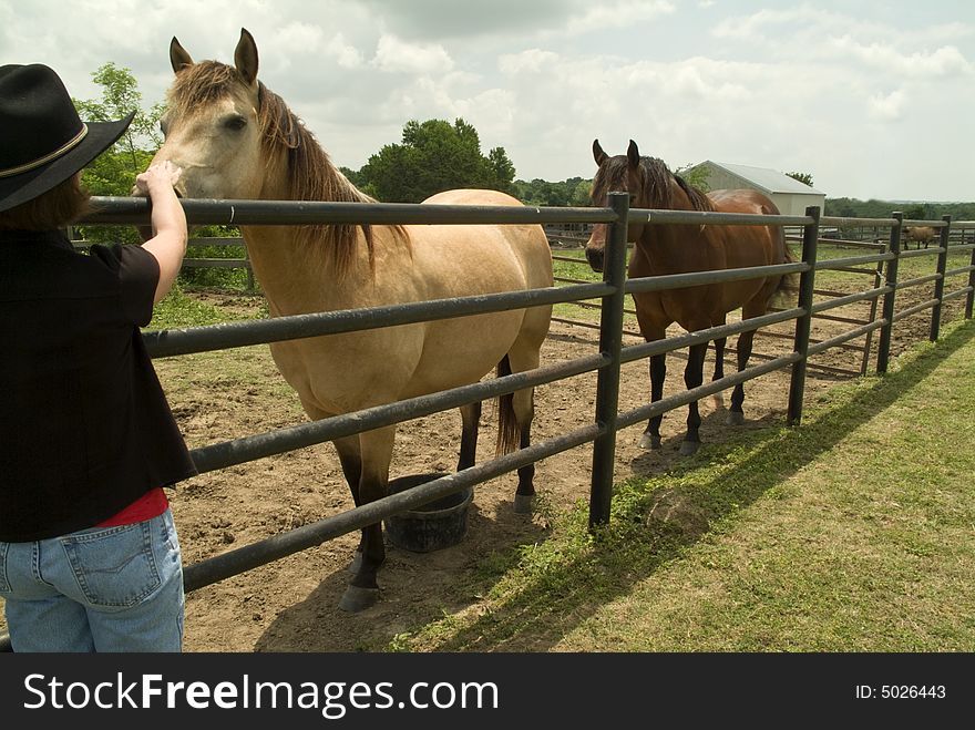 A woman wearing a cowboy hat petting a friendly horse on the nose. A woman wearing a cowboy hat petting a friendly horse on the nose.