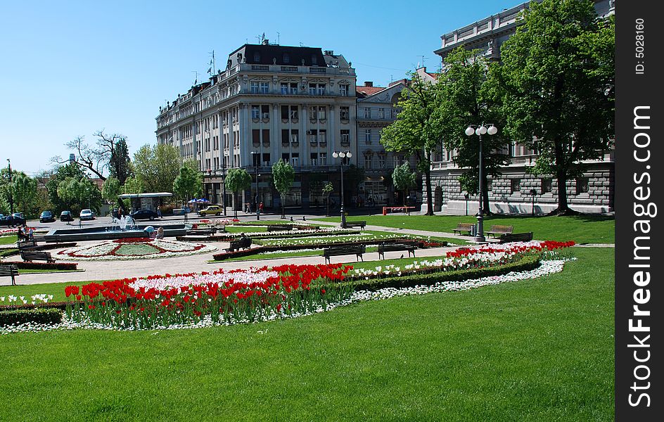 Belgrade urban view buildings and lawns with tulips and green grass. Belgrade urban view buildings and lawns with tulips and green grass