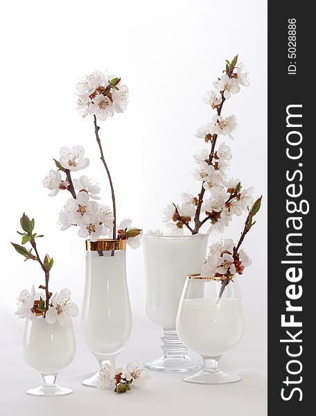 Branch cup flower glass goblet leaf life milk shoot sprig spring still twig white