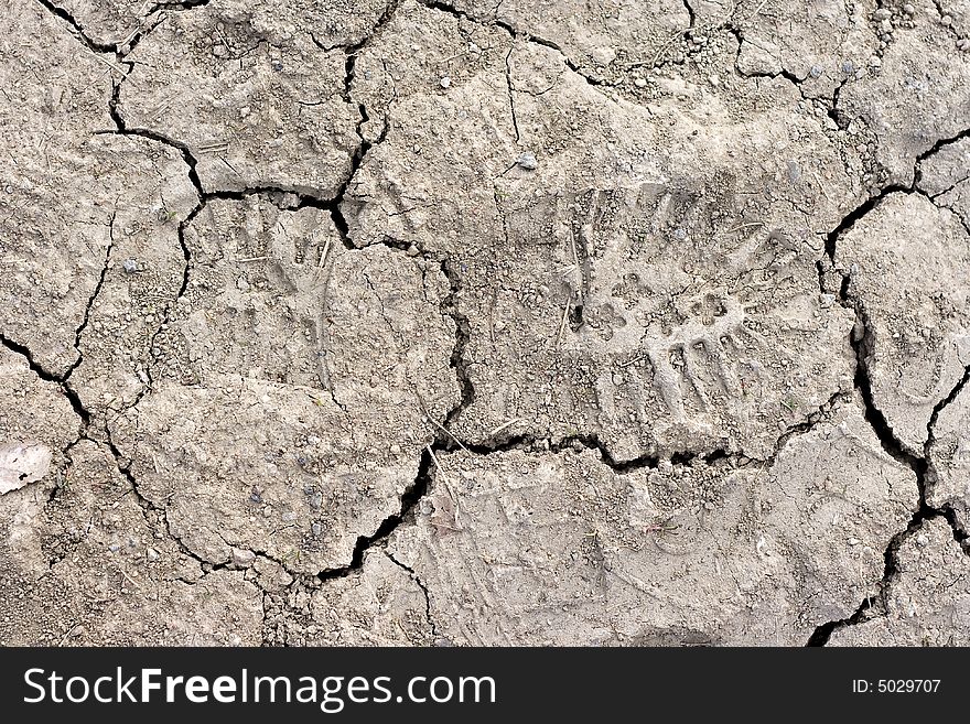 Close up of cracked dried soil with footprint