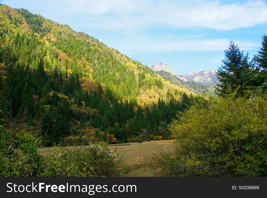 Sichuan jiuzhaigou landscape in China. Sichuan jiuzhaigou landscape in China