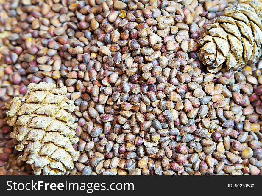 Cedar Nuts And Cones Closeup