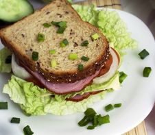 Turkey Sandwich. Stock Images Turkey Sandwich. Stock Images