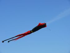 Giant Squid Kite Stock Photography