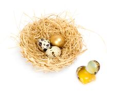 Nest With Golden Egg Royalty Free Stock Photos Nest With Golden Egg Royalty Free Stock Photos