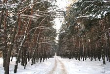 Snowy Road Royalty Free Stock Image Snowy Road Royalty Free Stock Image