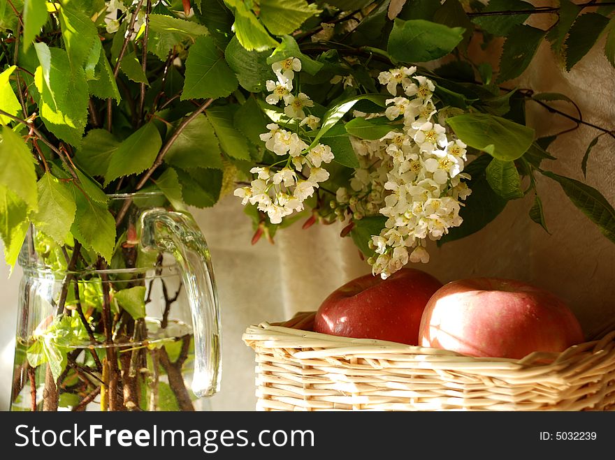 Bouquet of bird cherry and apples in kitchen. Bouquet of bird cherry and apples in kitchen.