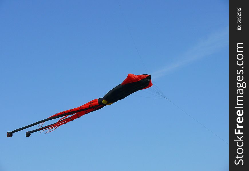 120' long giant squid kite in flight