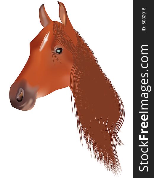 Head of horse. Vector illustration. White background