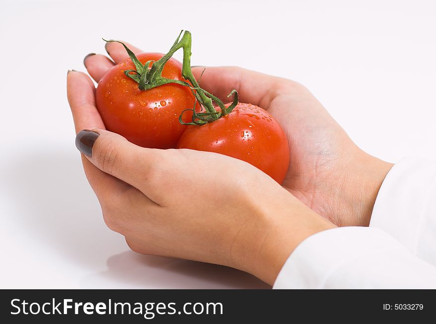 Female hands and two fresh tomatoes. Female hands and two fresh tomatoes