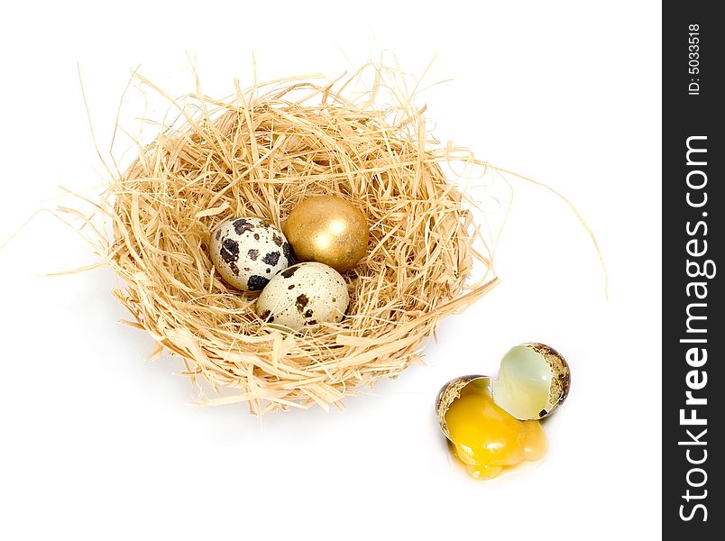 Nest with golden egg