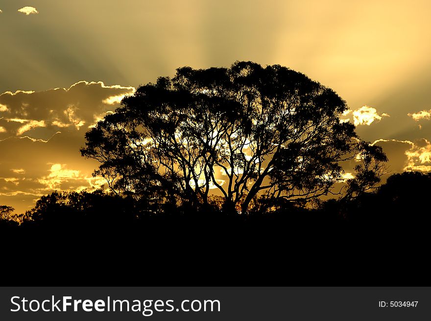 Image taken of a sunset on the gold coast australia