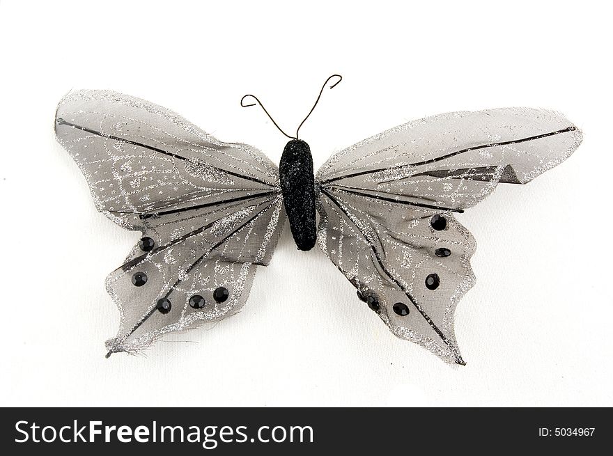 Black butterfly isolated on a white background