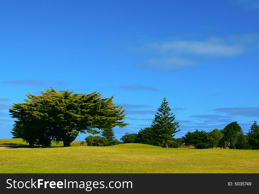 Beautiful country landscape with bright blue sky and green grass and trees. Beautiful country landscape with bright blue sky and green grass and trees