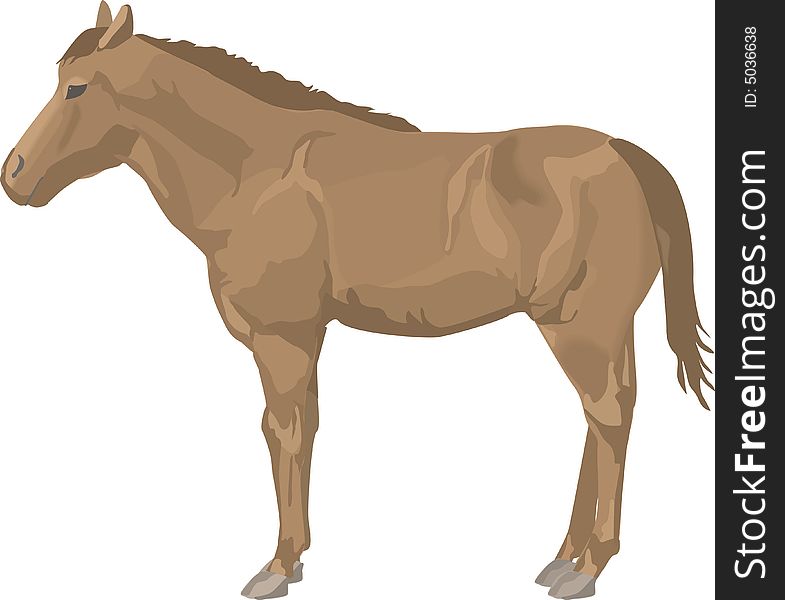 Horse