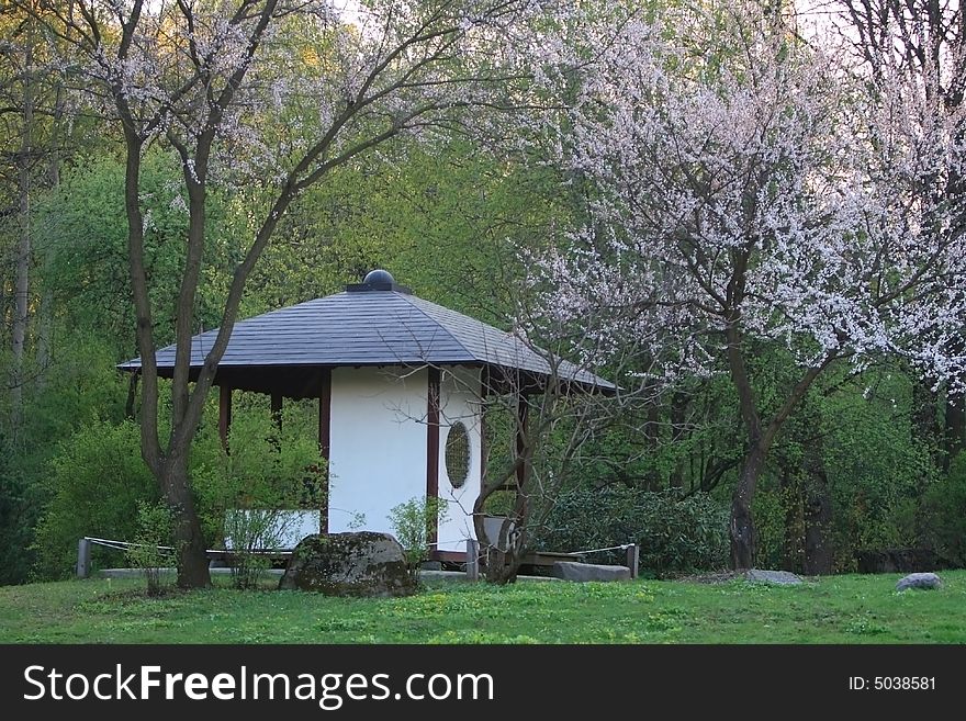 Japanese house in the blossoming trees