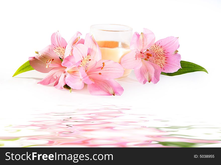 Candle and pink flowers isolated on white background