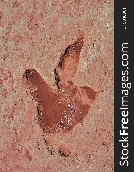North American, ca. 90 million years old Dinosaur tracks in sandstone.