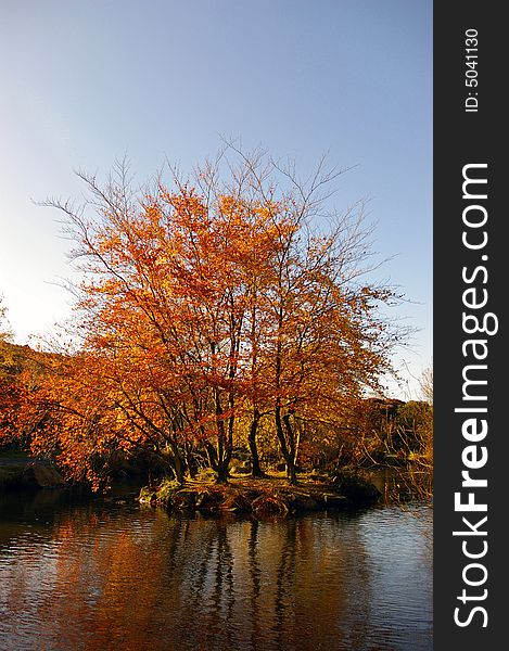 An autumnal tree on an island dropping leaves into the surrounding lake. An autumnal tree on an island dropping leaves into the surrounding lake.