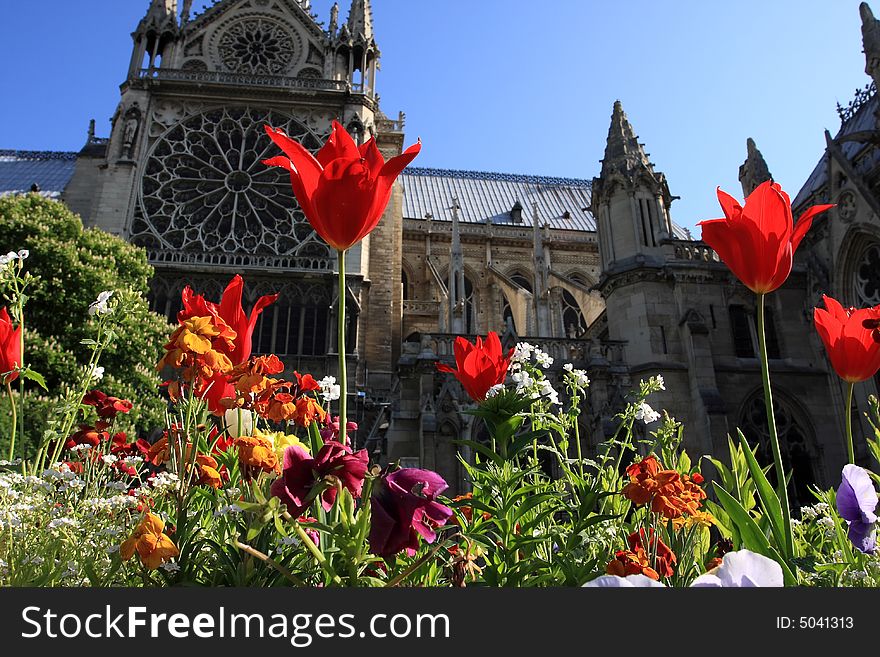 Notre Dame in paris with flowers