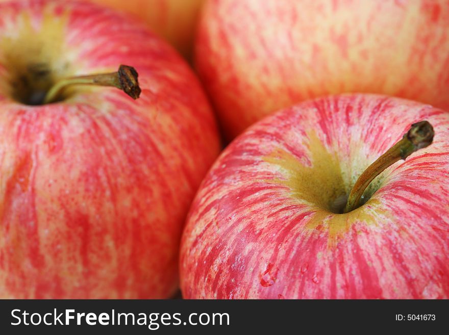 Close up of freshly picked rosy red apples. Close up of freshly picked rosy red apples