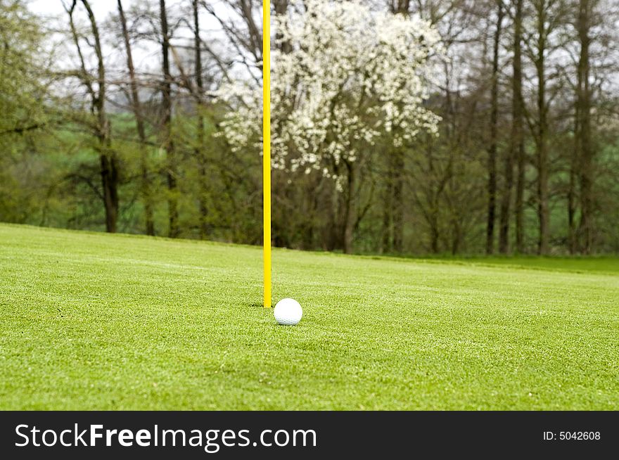 Very early on a golf course in spring. Very early on a golf course in spring