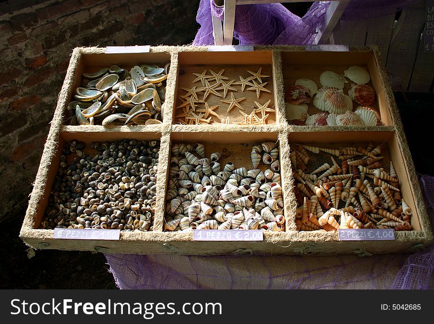 Tray with sea shells and starfish