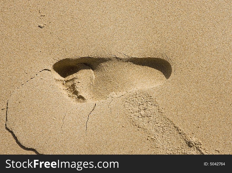 Footprint on sandy beach on summer day - Australia
