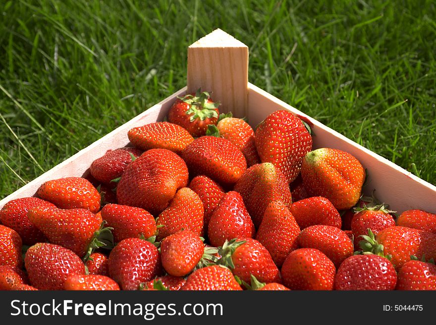 Fresh strawberry on the grass