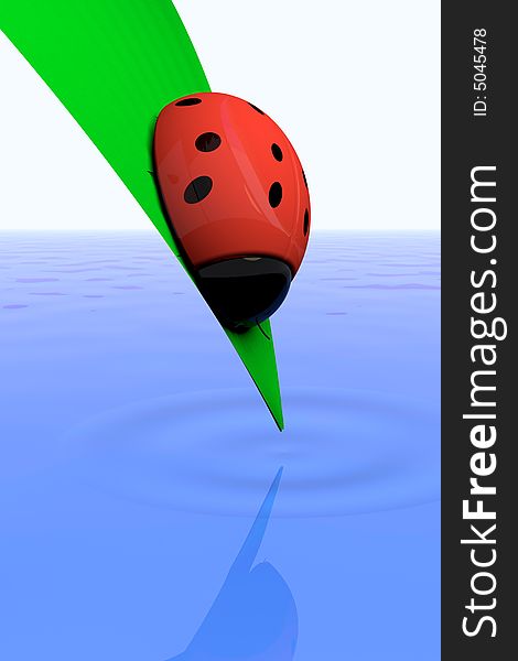 Red ladybird on a green sheet above water