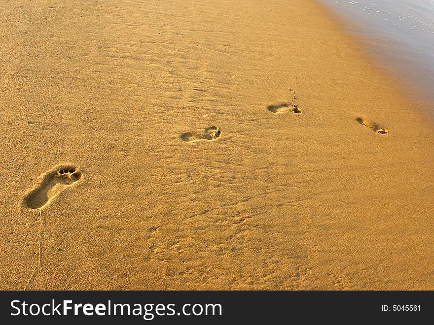 Trace of the foot on the beach. Trace of the foot on the beach