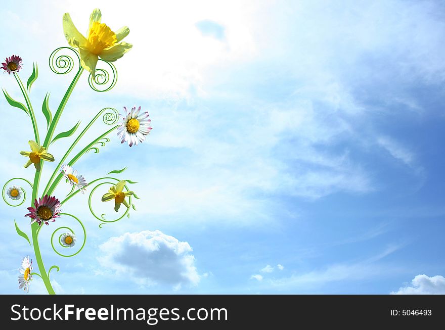 A beautiful flowers on a sky background. A beautiful flowers on a sky background