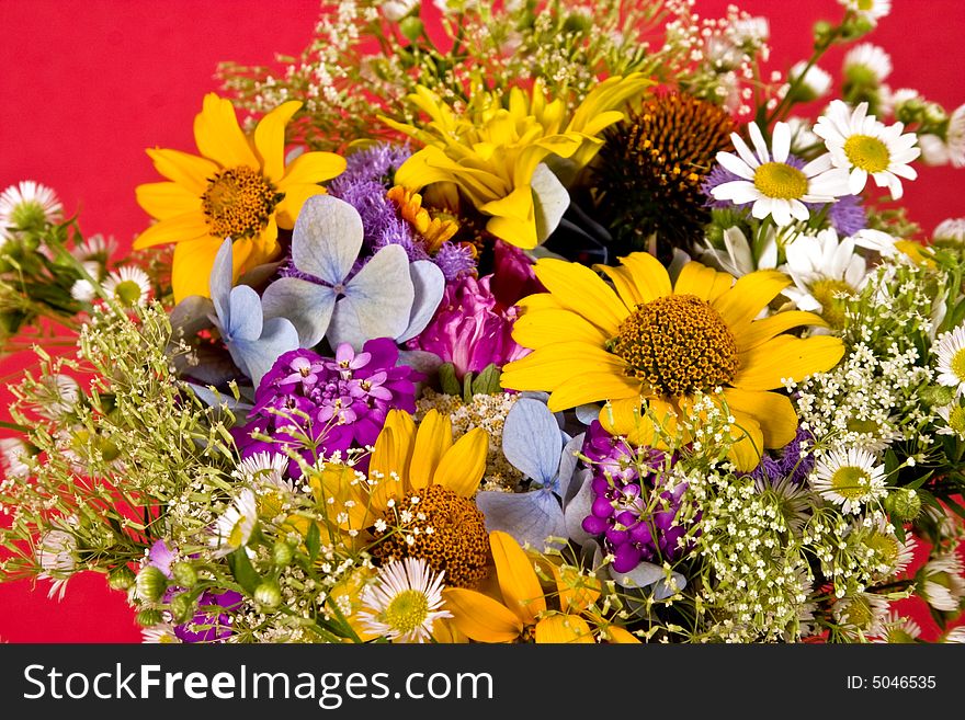 Bunch of various flowers on the red background. Bunch of various flowers on the red background