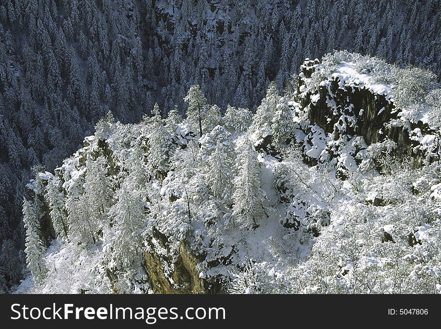 Oak Creek Canyon near Sedona after a late winter snow storm. Oak Creek Canyon near Sedona after a late winter snow storm