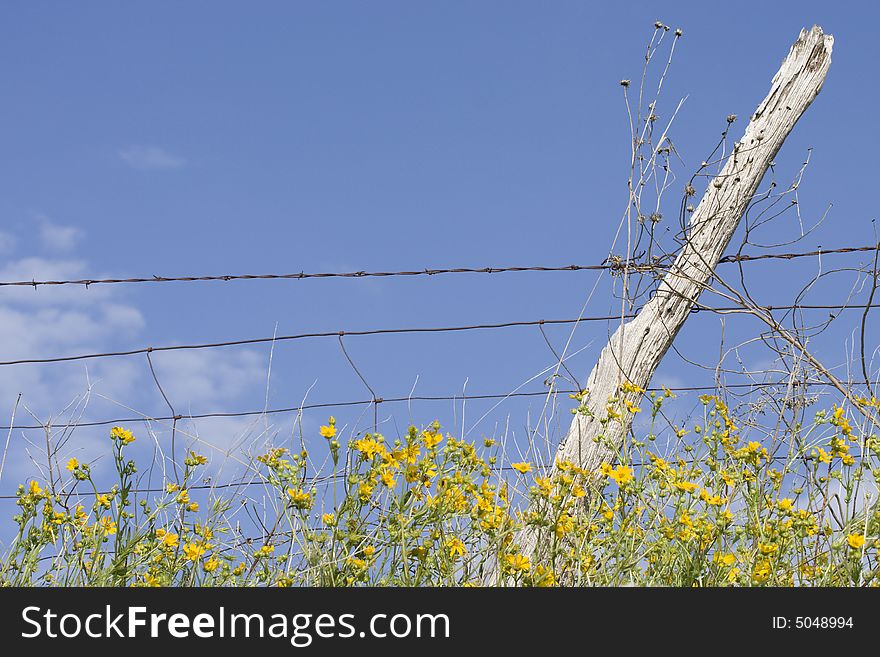 Leaning fence post with barbed wire