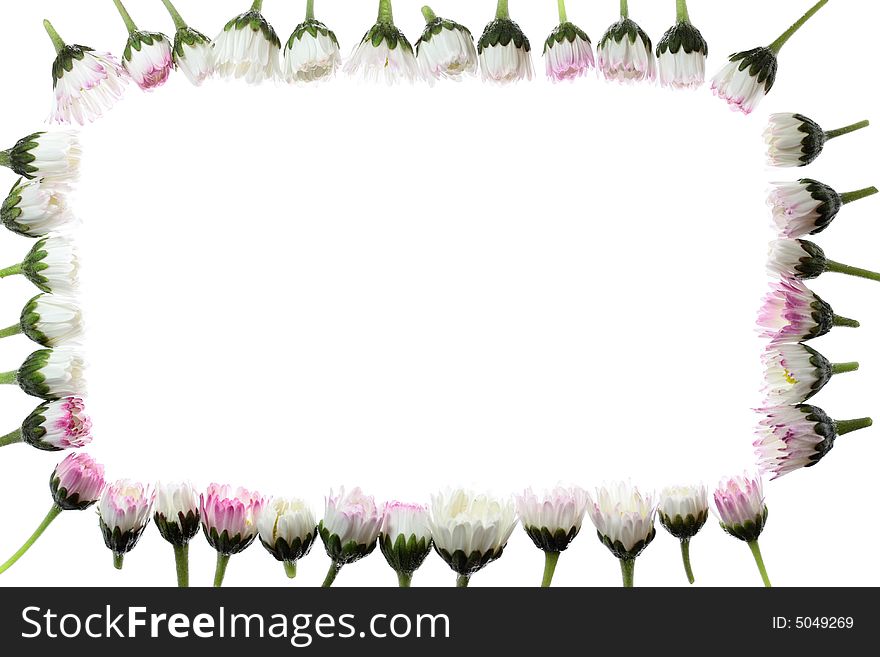 Floral frame with space for your text. Floral frame with space for your text