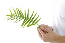 Man On Holding A Small Plant Royalty Free Stock Images